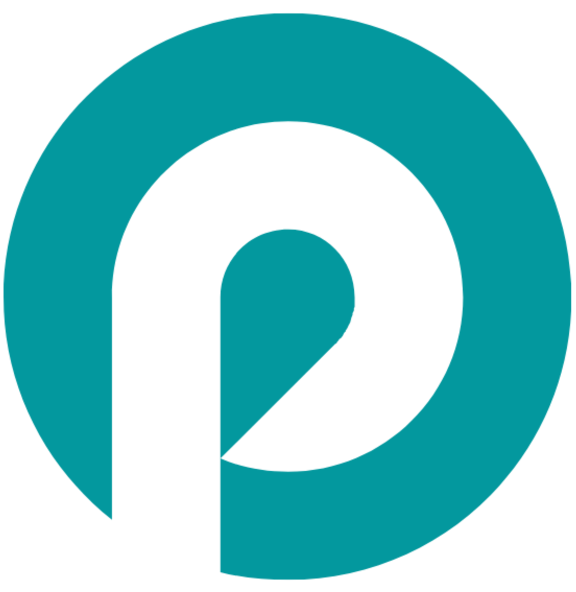 Paytical logo